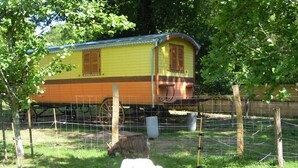 A yellow and brown train car converted into a house with a fenced yard. - Roulotte Gite Tsigane A 15km DES Sables D'olonne (Grosbreuil)