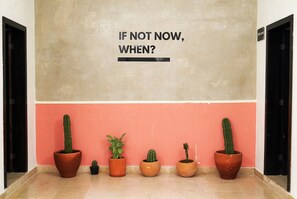 Computer monitors - Nora Hotel & Co living (Guadalajara)