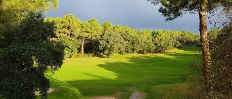 Golf