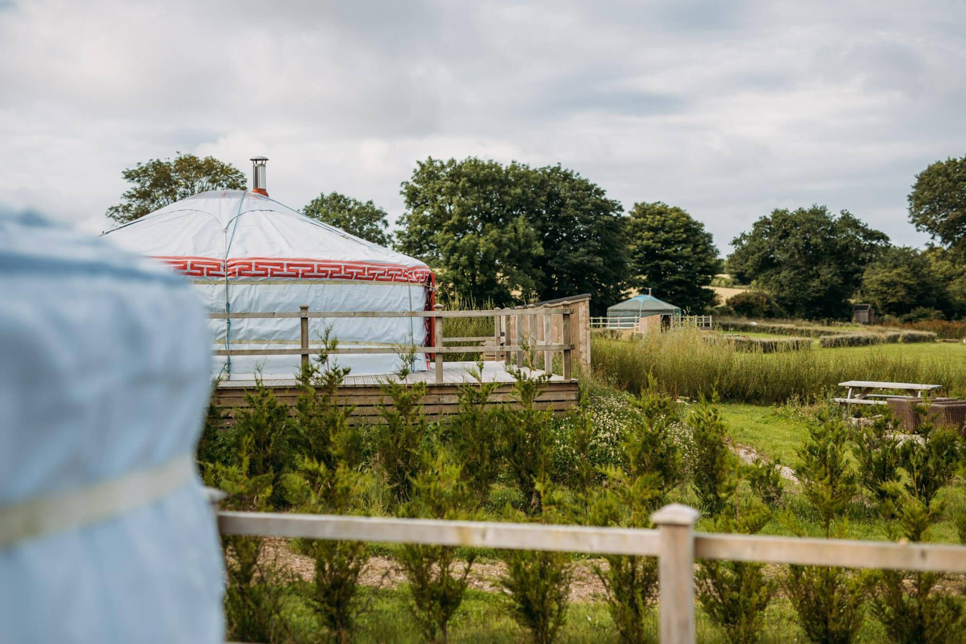 Turkey Dog - A luxury couples+ Yurt on a stunning historic estate near Newquay. Dog friendly