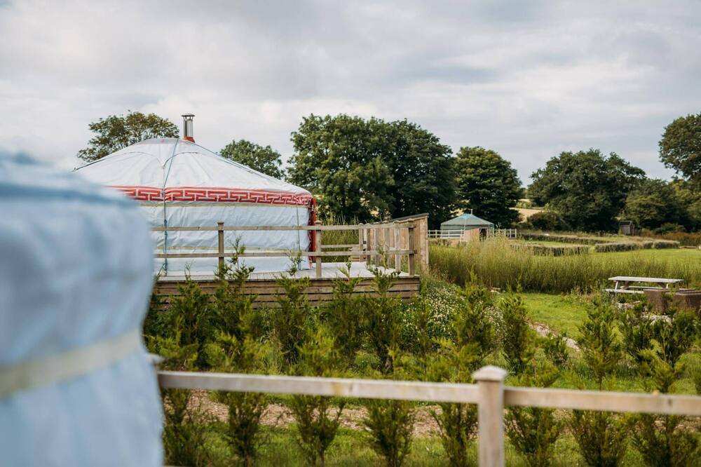Turkey Dog - A luxury couples+ Yurt on a stunning historic estate near Newquay. Dog friendly