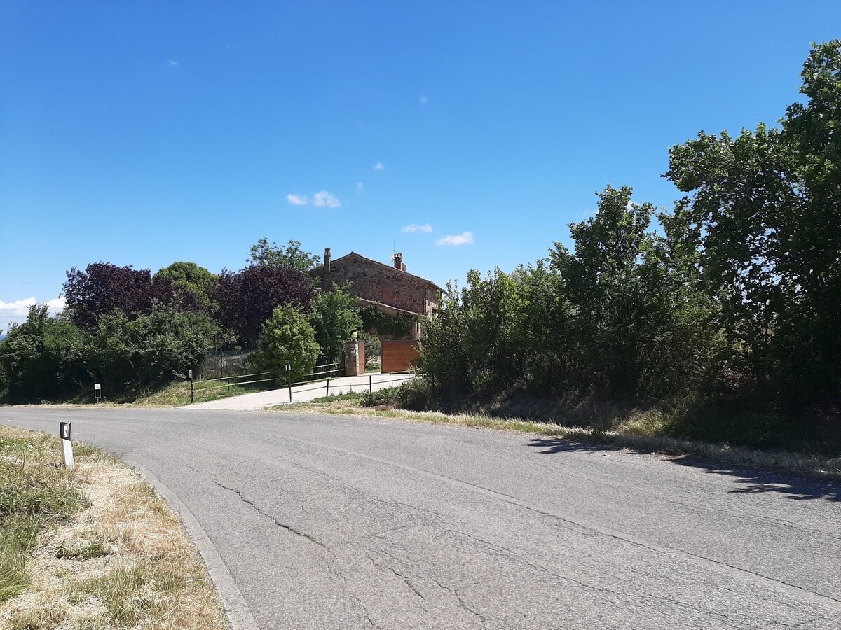 Imagen de perfil del propietario o de la propietaria