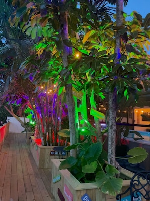 Stroll through the serene garden, surrounded by lush greenery and tranquil atmosphere.