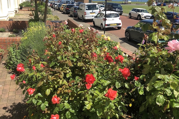施設の敷地