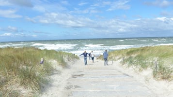 Playa | Playa en los alrededores y camastros 