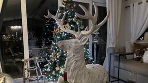 A living room with a Christmas tree, a large deer sculpture, a wine bottle, and a candle.