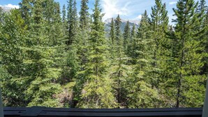 A forested area with tall evergreen trees and a mountain in the background. - Enjoy a Cozy Condo and Lots of Fun with Family Friendly Pool and Hot Tubs  (Canmore)
