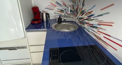 Cozy chef's apartment in Hyper center...