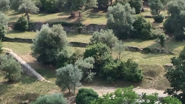 Um edifício grande e histórico, com várias janelas e um pátio rodeado por árvores.
