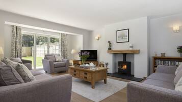 TV, fireplace, DVD player