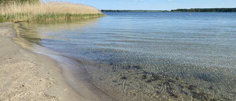 Beach nearby, sun-loungers