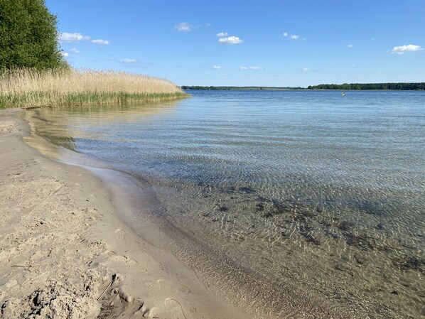 Beach nearby, sun-loungers