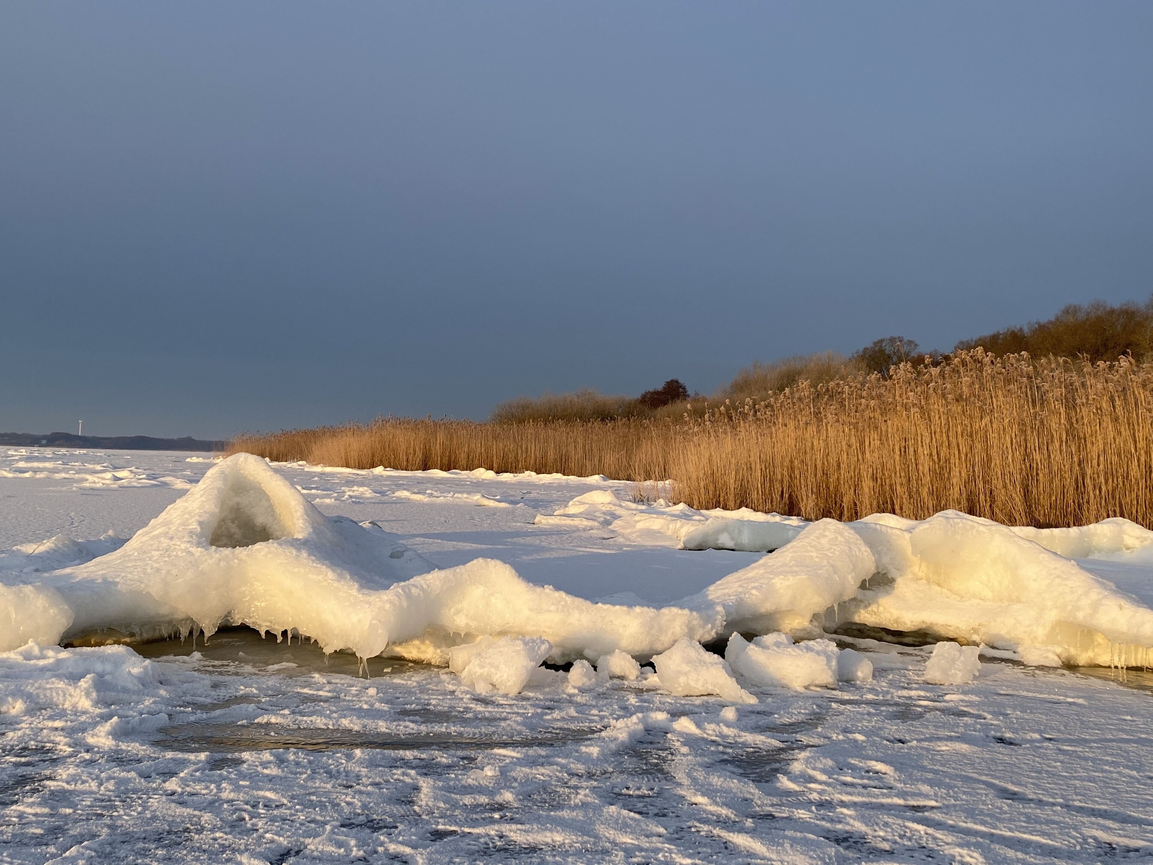 A frozen landscape with ice formations and tall grasses.