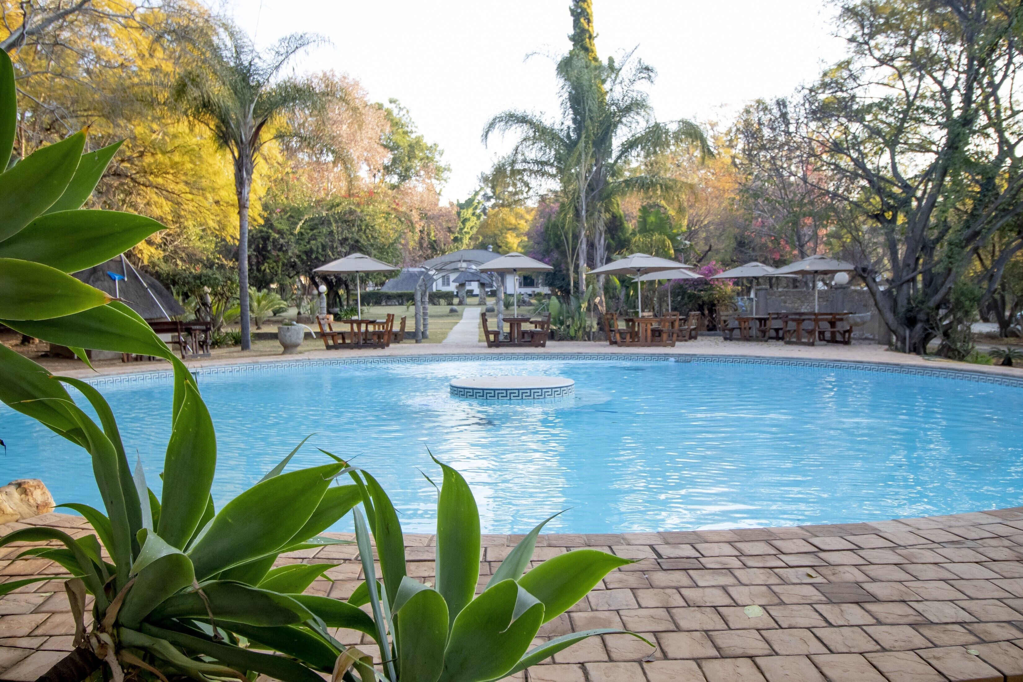 室内游泳池，室外游泳池，池畔遮阳伞，日光浴躺椅