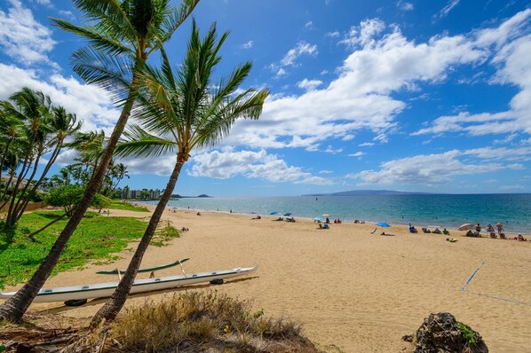 Plage à proximité, chaise longue, serviettes de plage