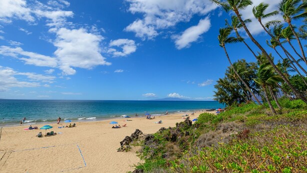 A beach with clear skies, palm trees, and people enjoying the sand. - Top Floor Ocean View & easy walk to the beach. Last minute booking 20 % discount (Kihei)