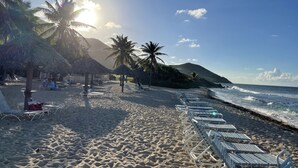 Une plage avec des transats, des palmiers et un ciel dégagé.