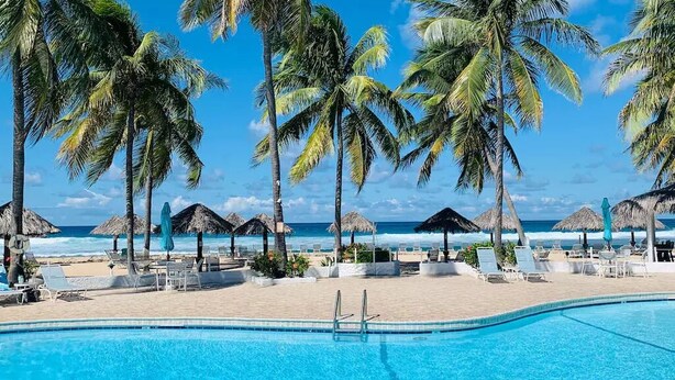 Un espace aménagé au bord de la piscine, avec des chaises longues et des parasols, des palmiers et une vue sur l’océan.