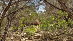A stone staircase surrounded by trees and rocky terrain. - Coyote Canyon Lodge, Private Pool, @ Frio River Vacation Rentals (Concan)