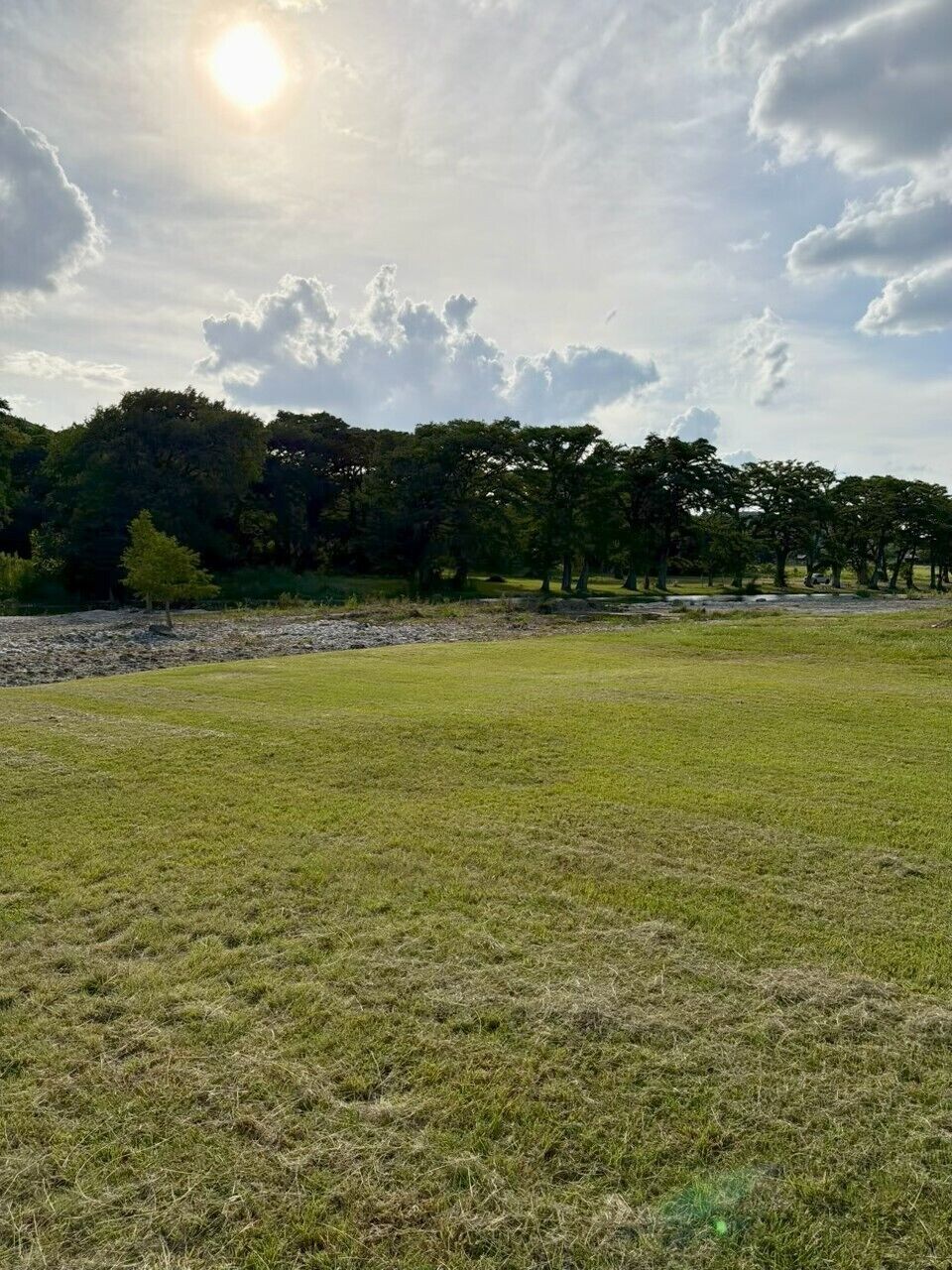 Un campo cubierto de hierba con árboles al fondo y un cielo despejado.