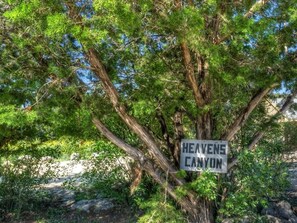 Discover Heavens Canyon, a serene natural oasis surrounded by lush greenery.