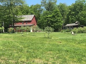 Esterni