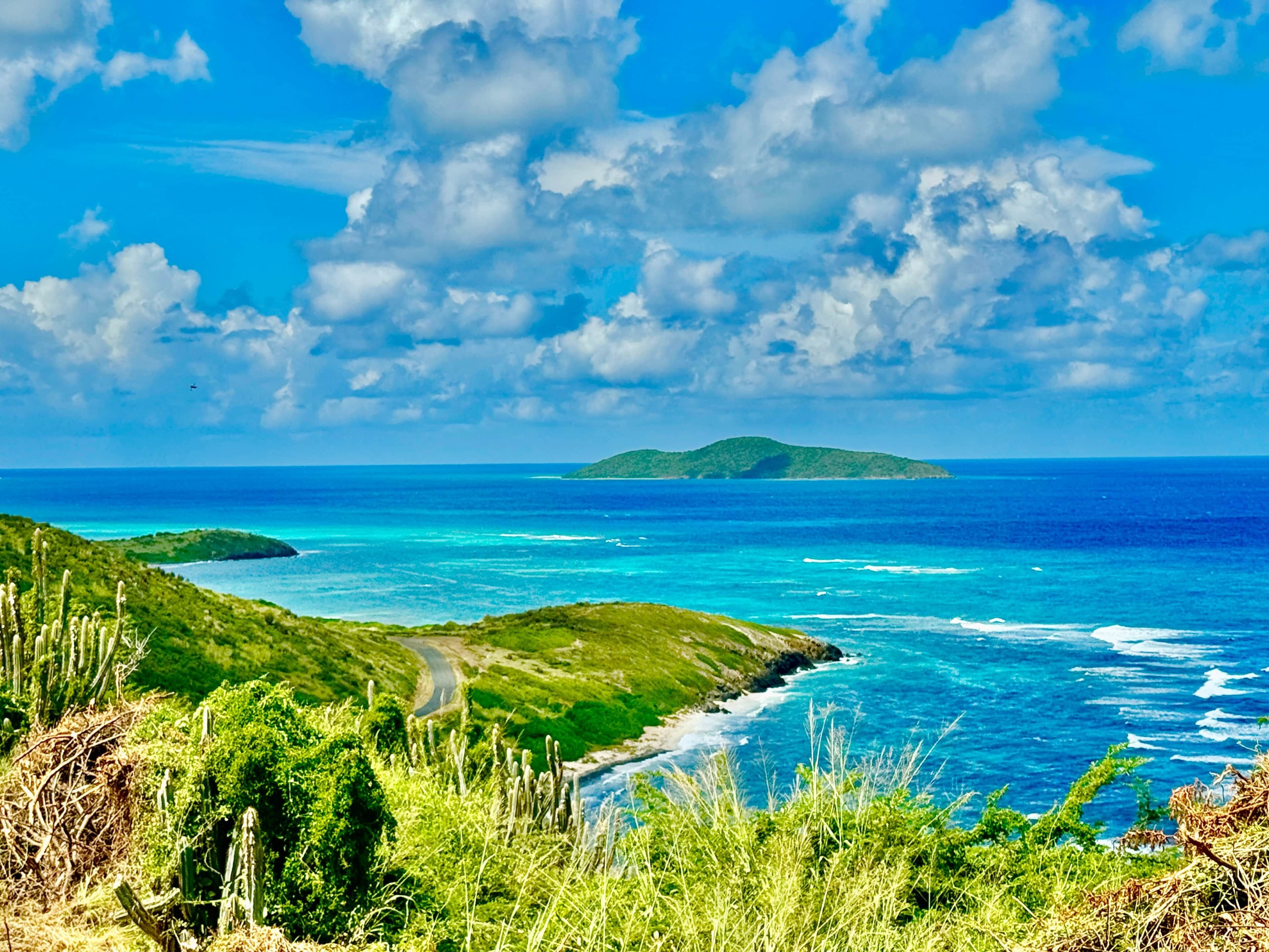 A coastal landscape with a road, greenery, and a distant island.