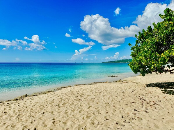 A beach with clear turquoise water, sandy shore, and a tree on the right.