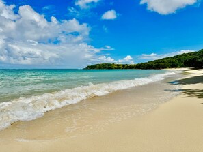 A beach with clear turquoise water, sandy shore, and a forested hill in the background.