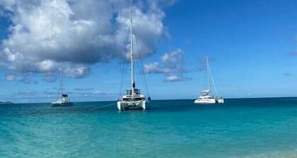 Splash of Lime - Private Hilltop Pool Oasis!