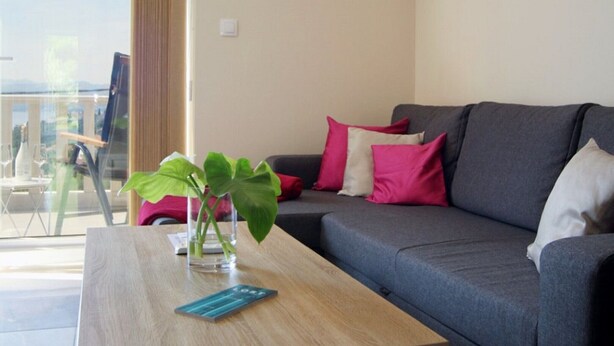 A modern living room with a grey sofa, a wooden coffee table, and a glass table with a plant. - Apartments Mi&Ni - One Bedroom Apartment with Balcony and Sea View (Cavtat)