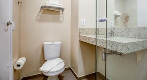A bathroom with a toilet, a glass shower enclosure, and a sink with a marble countertop.