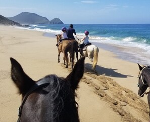 Beach nearby, sun loungers, beach towels - Casa Bella Cerritos (Los Cerritos)