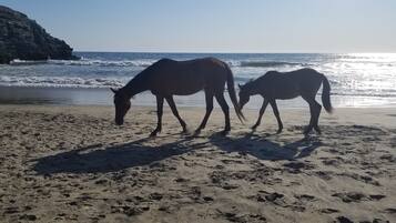 Beach nearby, sun-loungers, beach towels