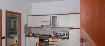 The Window to the Park