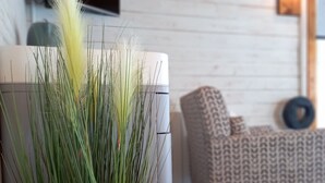 A potted plant with long green leaves in a patterned pot. - Sandy Toes Accommodation (Par)