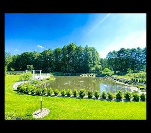 Área da propriedade