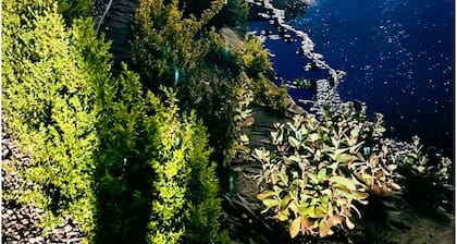 This beautifull villa is located by the wather, surrounded by forest.