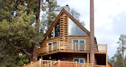 Lakefront Big Bear Cabin Access To Lake Pets Welcome