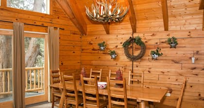 Lakefront Big Bear Cabin Access To Lake Pets Welcome