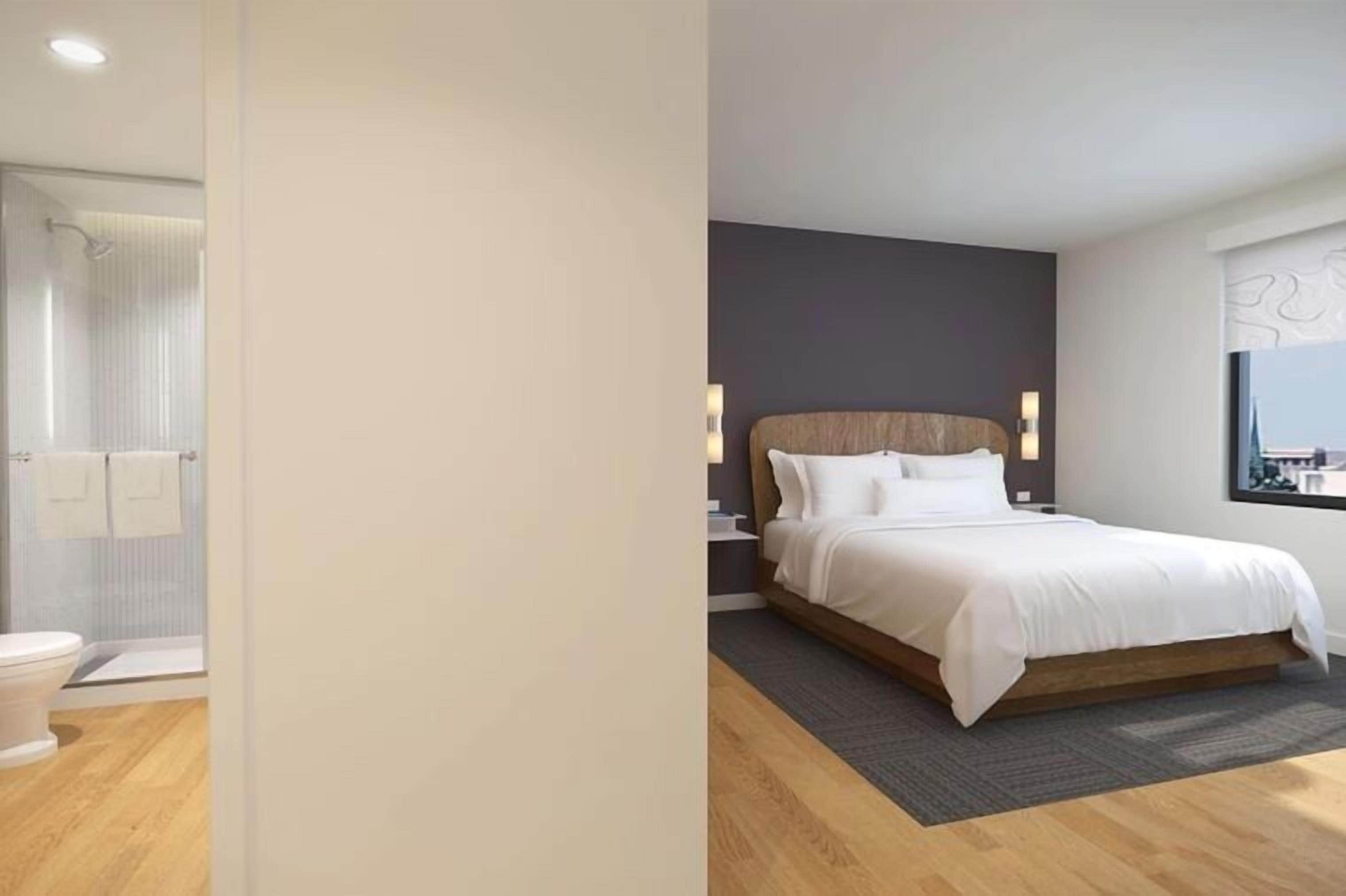 Habitación estándar, 1 cama King size (Mobility Accessible, Roll-In Shower) | Baño | Secadora de cabello, toallas, jabón, shampoo 