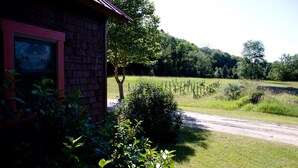 A rural house with a brick exterior, a visible window, and a dirt path leading to a fenced field. - Cozy, quirky and quaint updated Farm House surrounded by Sleeping Bear Dunes. (Maple City)