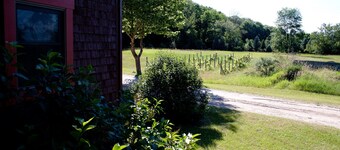 Cozy, quirky and quaint updated Farm House surrounded by Sleeping Bear Dunes.