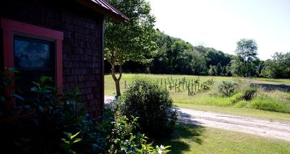 Cozy, quirky and quaint updated Farm House surrounded by Sleeping Bear Dunes.