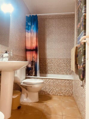 Bathtub, hair dryer, bidet, towels