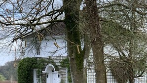 A white building with a white door and a white fence. There is a tree in front of the building.