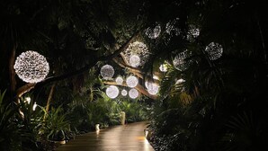 Un sendero de madera bordeado por abundante vegetación e iluminado por luces esféricas.