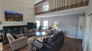 TV, fireplace, books