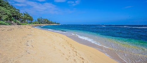 On the beach