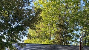Un espace pique-nique équipé de tables et de bancs en bois, entouré d’un chemin de gravier et d’une clôture en bois.